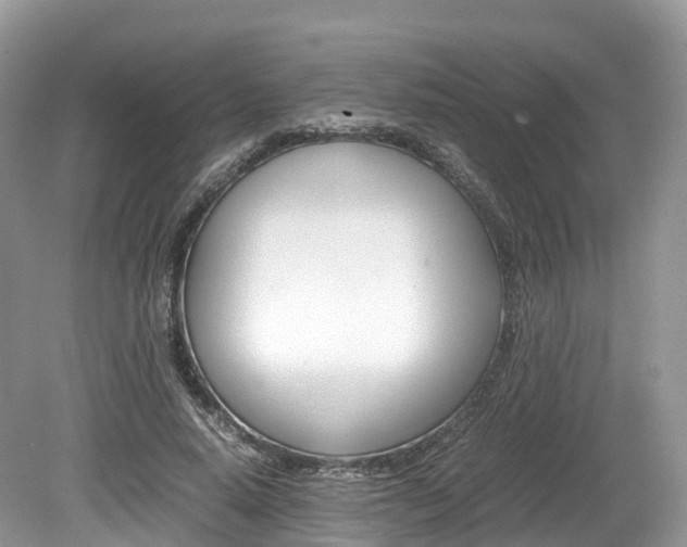 X0000080190640200612081201