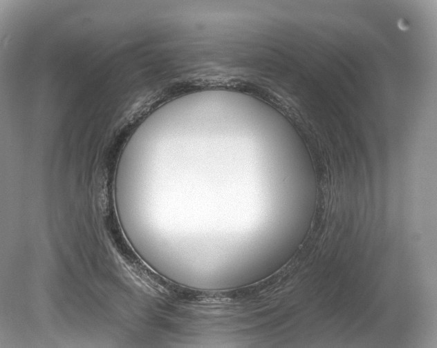 X0000080190642200612081201