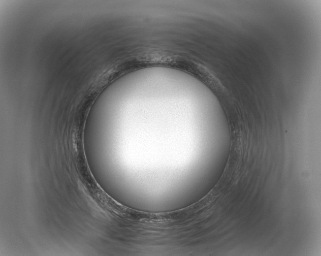 X0000080190643200612081201