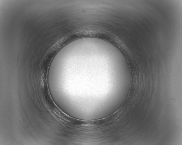 X0000080190644200612081201