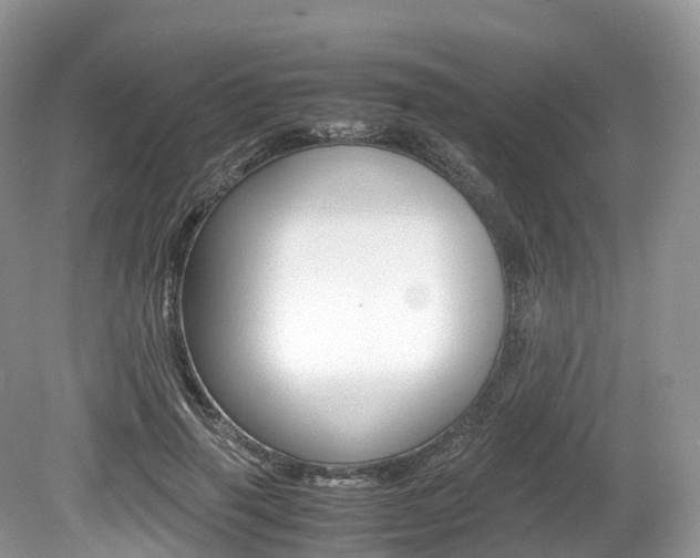 X0000080190645200612081201