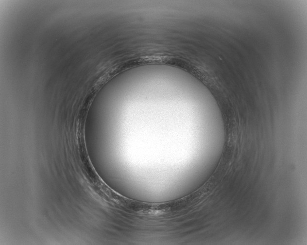 X0000080190647200612081201