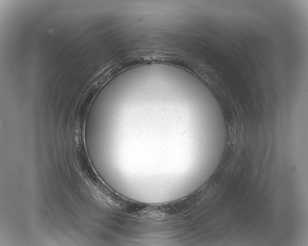 X0000080190648200612081201