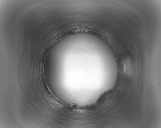 X0000080190649200612081201