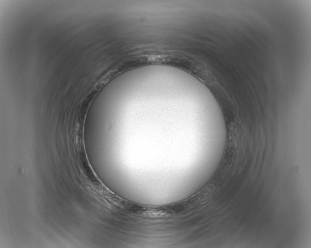 X0000080190650200612081201