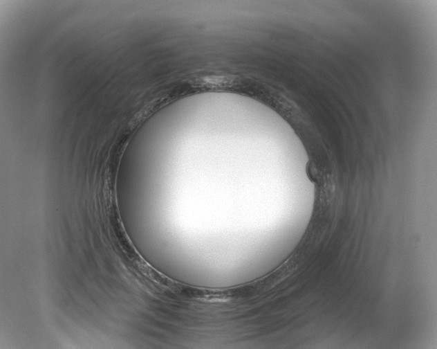 X0000080190651200612081201