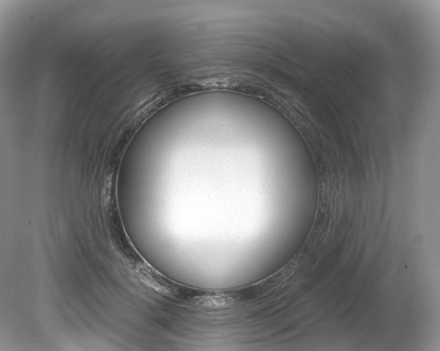 X0000080190652200612081201