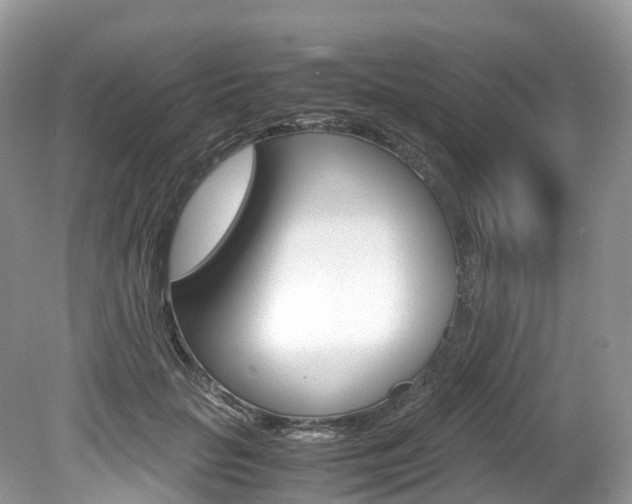 X0000080190653200612081201