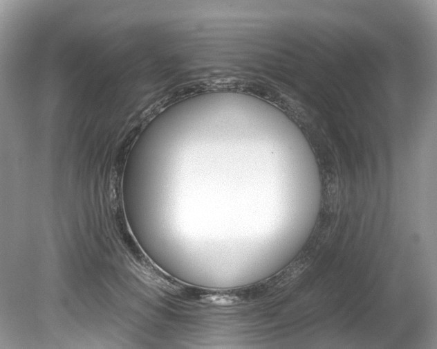 X0000080190654200612081201
