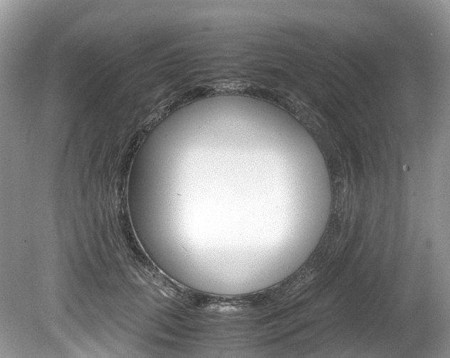 X0000080190655200612081201