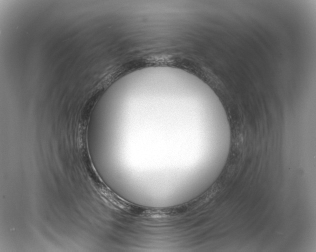X0000080190658200612081201