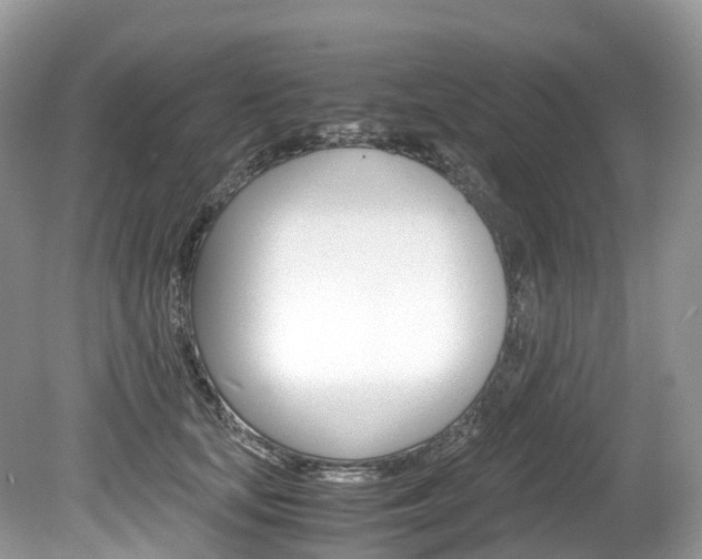 X0000080190659200612081201