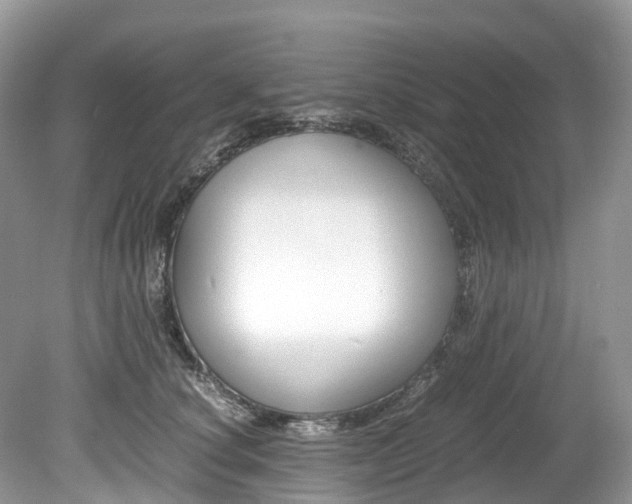 X0000080190660200612081201