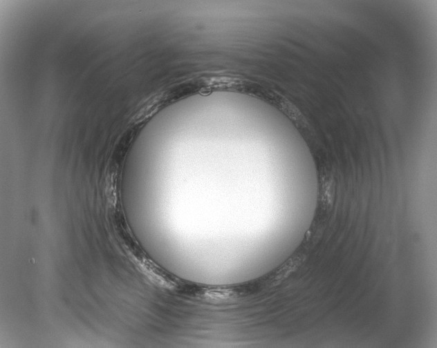 X0000080190666200612081201