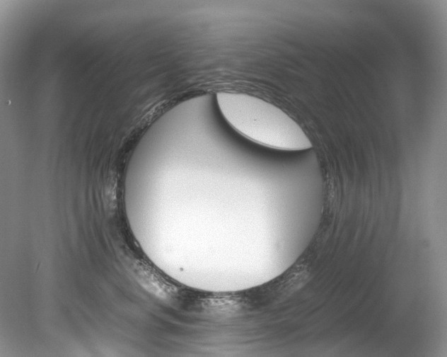 X0000080190668200612081201