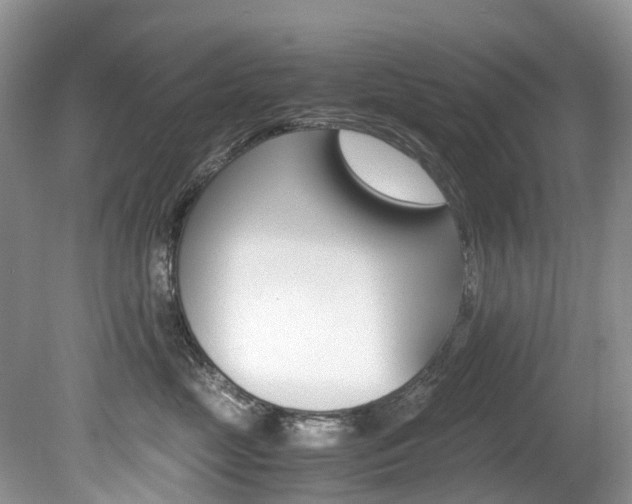X0000080190669200612081201