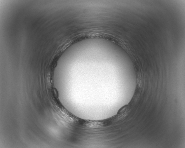 X0000080190670200612081201