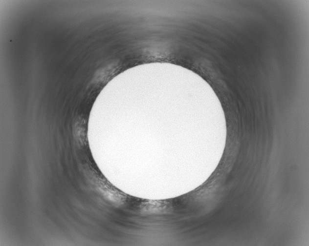 X0000080190672200612081201