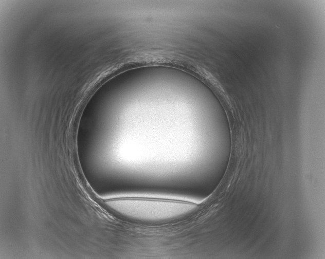 X0000080190673200612081201