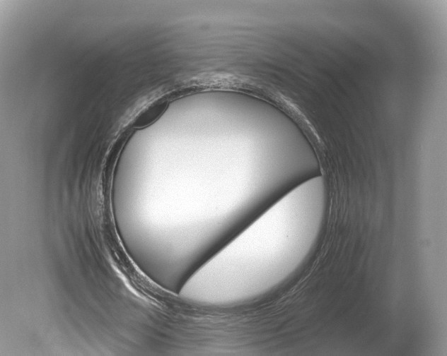X0000080190674200612081201