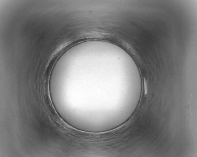 X0000080190675200612081201