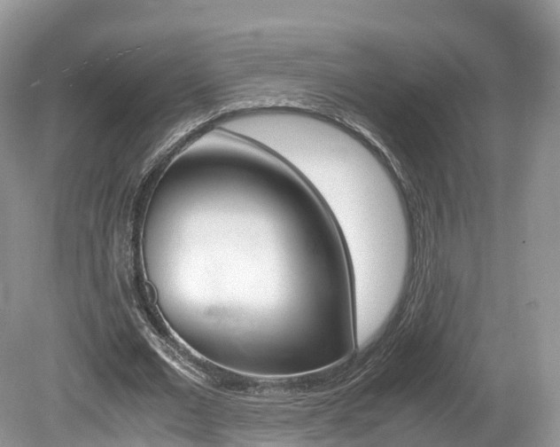 X0000080190677200612081201