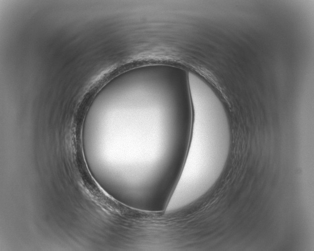 X0000080190680200612081200