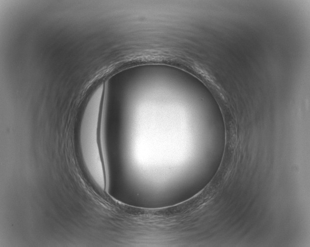 X0000080190681200612081200