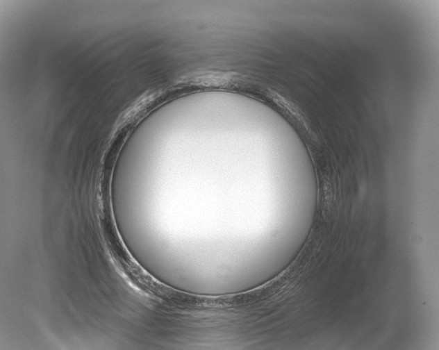 X0000080190682200612081200