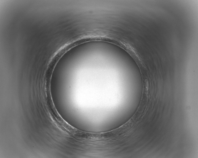 X0000080190684200612081200