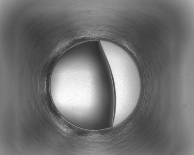 X0000080190685200612081200