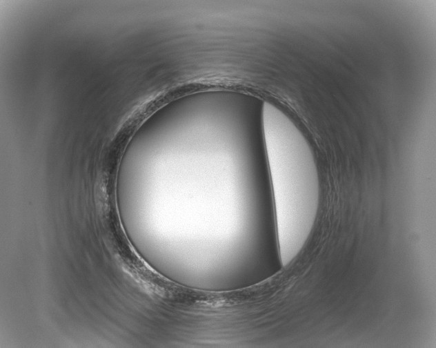 X0000080190688200612081200