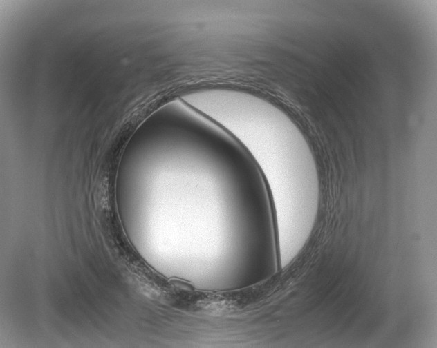 X0000080190689200612081200