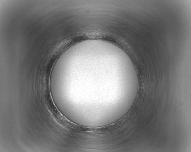 X0000080190690200612081200