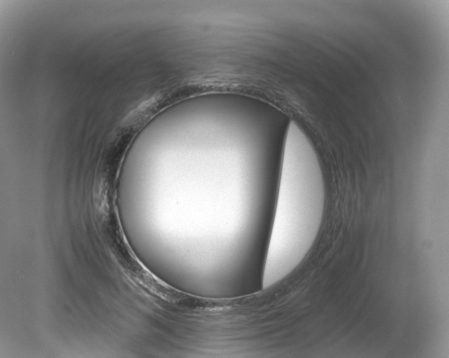 X0000080190692200612081200