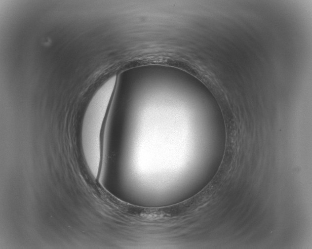 X0000080190693200612081200