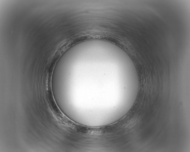 X0000080190694200612081200
