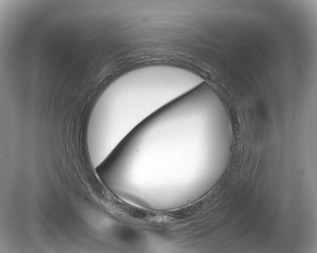 X0000080190695200612081200