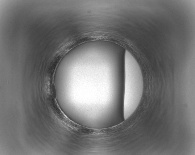X0000080190696200612081200