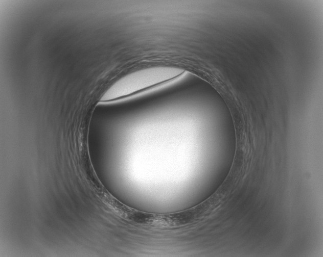 X0000080190697200612081200