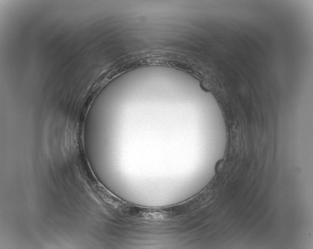 X0000080190698200612081200