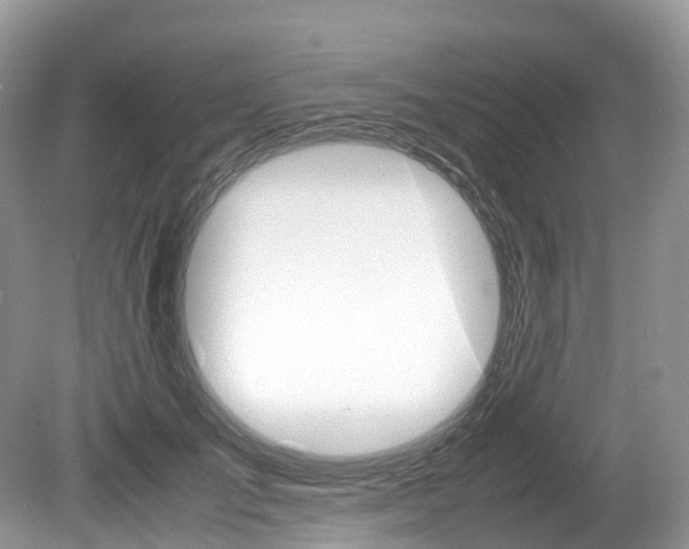 X0000080190701200612081200