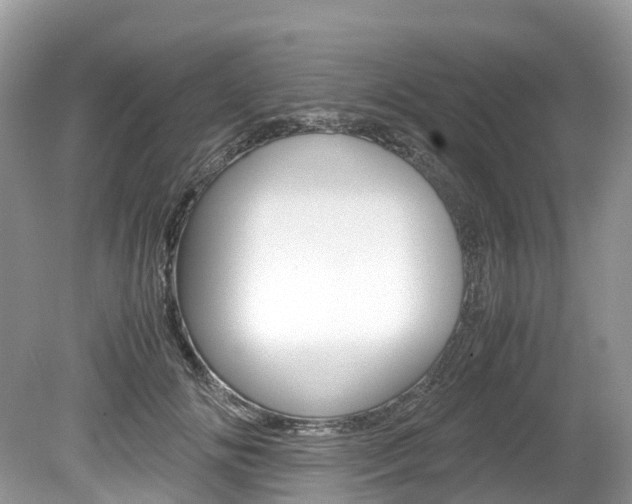 X0000080190702200612081200