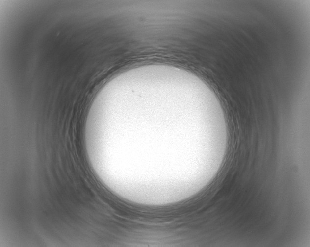 X0000080190705200612081200