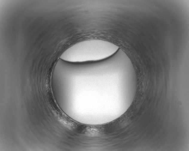 X0000080190706200612081200