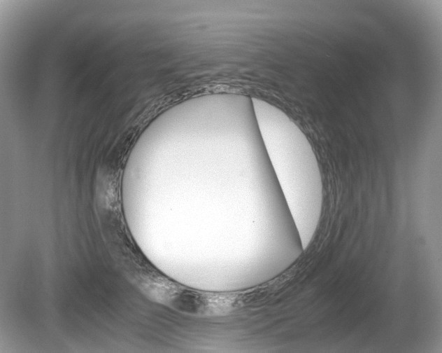 X0000080190709200612081200