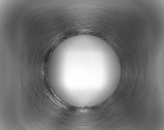 X0000080190710200612081200