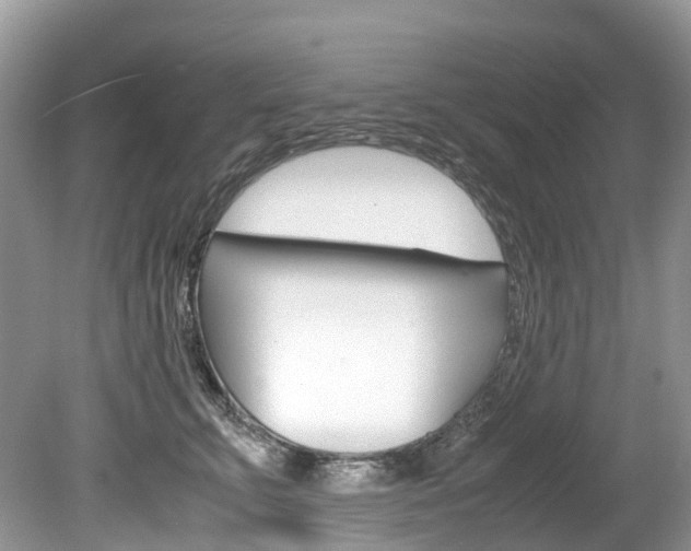 X0000080190711200612081200