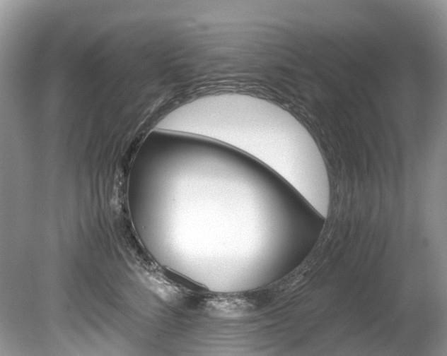 X0000080190712200612081200
