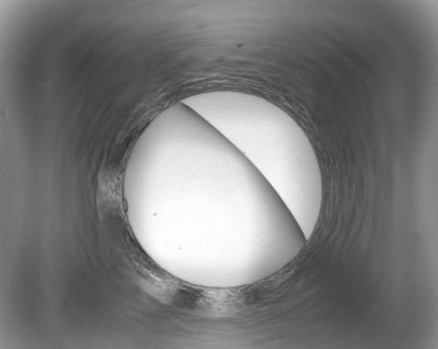 X0000080190713200612081200